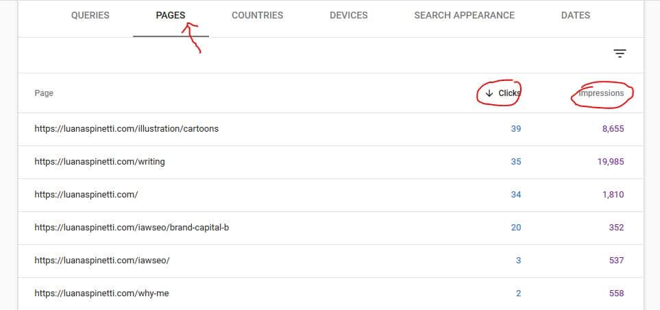 Content Pruning SEO - Pages with Clicks and Impressions in Google Search Console (example)